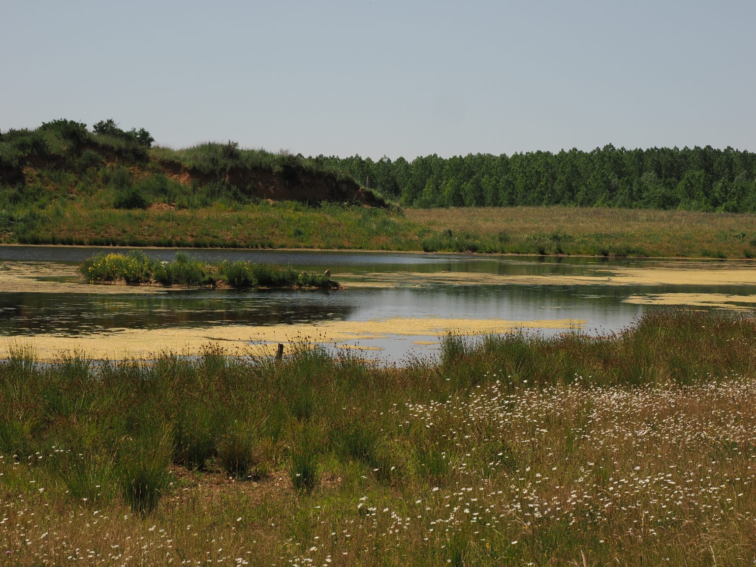 Höller Horn und Goldene Aue Expedition Rheinland
