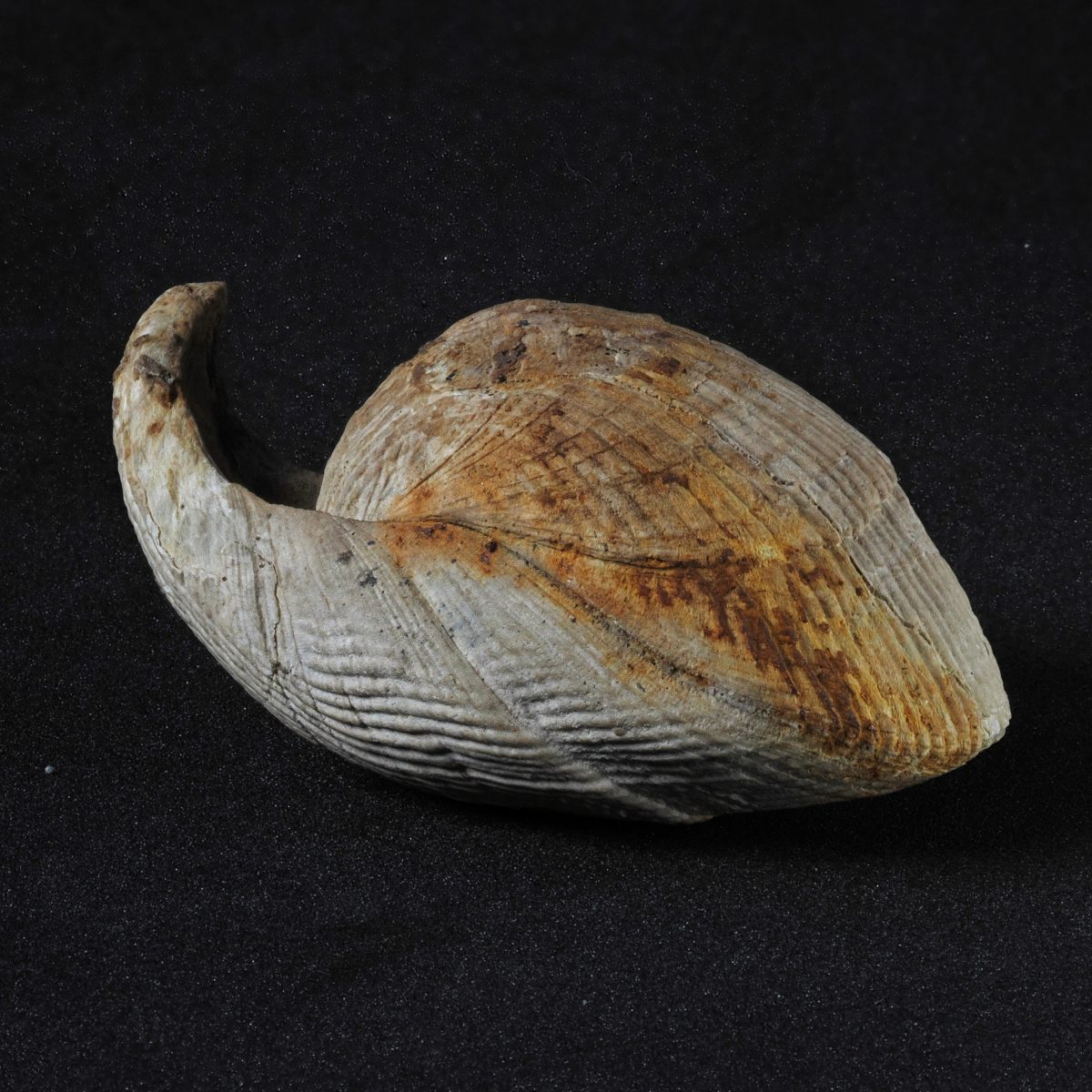 Expedition Rheinland Unterwegs im Rheinland Natur, Geologie